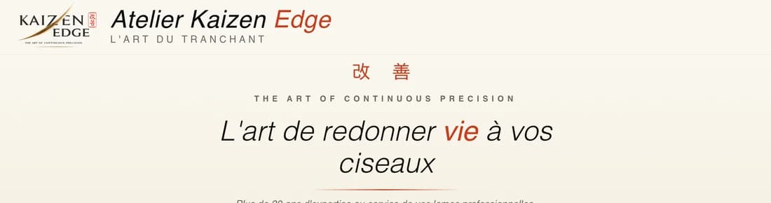 Aperçu du site Kaizen Edge